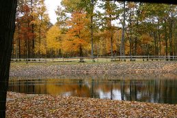 Fall day