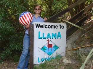 Welcome to Llama Lookout