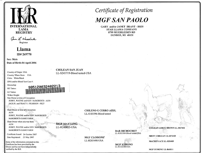 MGF San Paolo ILR certificate
