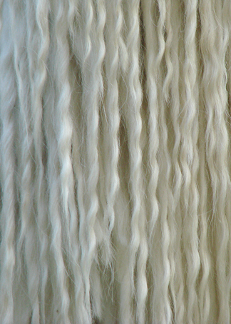 MGF San Paolo wool
