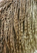 Star Lord of the Ringlets wool shot